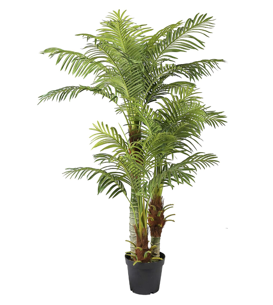 palmier-180-cm